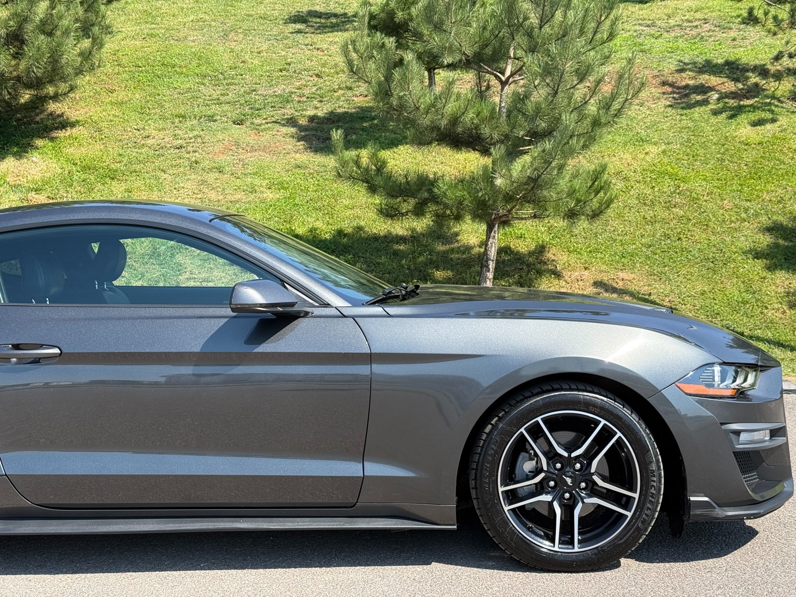 Ford Mustang 2.3 Ecoboost — fotoğraf 59