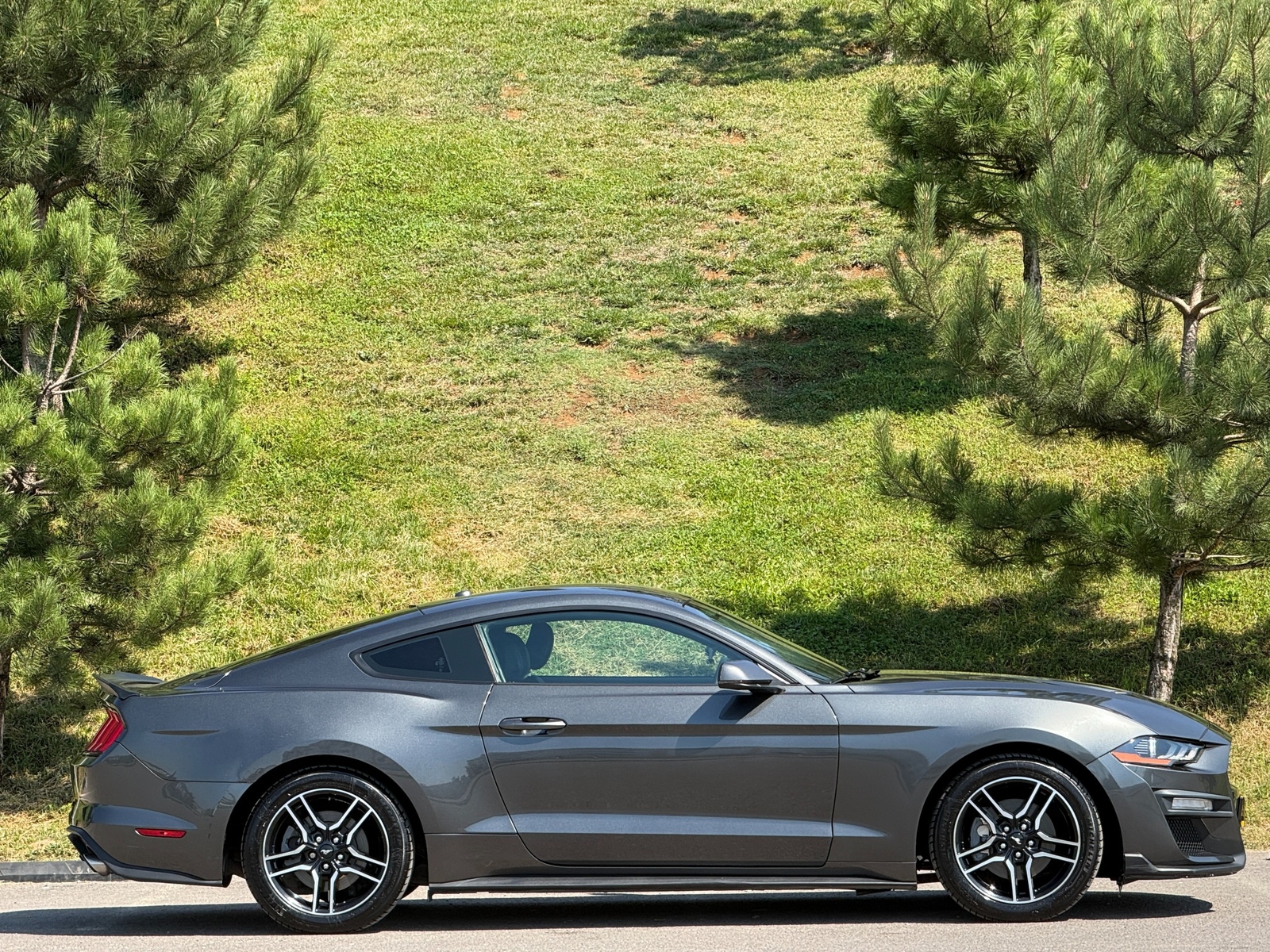 Ford Mustang 2.3 Ecoboost — fotoğraf 25
