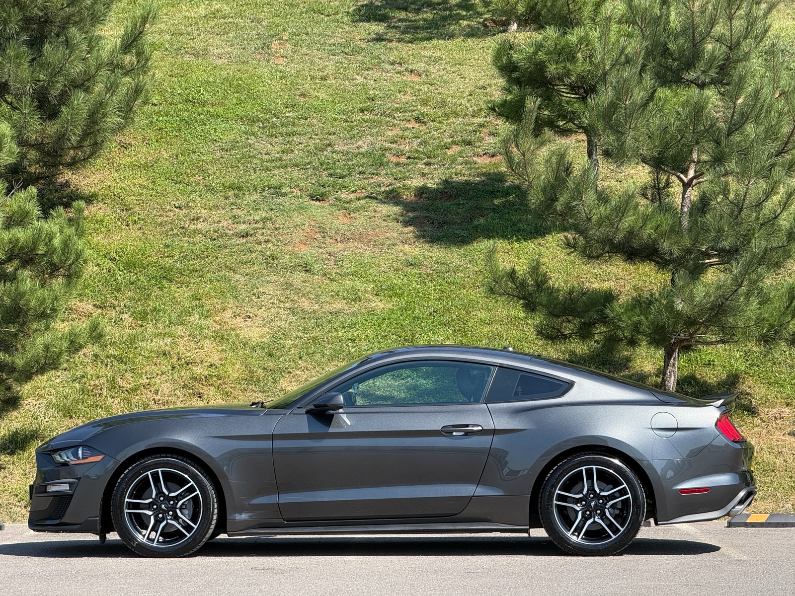 Ford Mustang 2.3 Ecoboost — fotoğraf 15